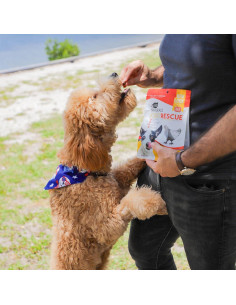 Suplemento Articular Masticable Ark Naturals Pollo 255g 2