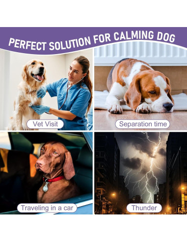 Gotas de Raíz de Valeriana PROVSPRO para Perros 60ml