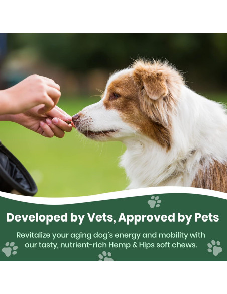 Suplemento Articular para Perros Veterinary Naturals - 60 Masticables de Pollo