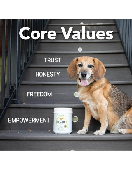 Suplemento Articular InClover Connectin 150 Tabletas para Perros