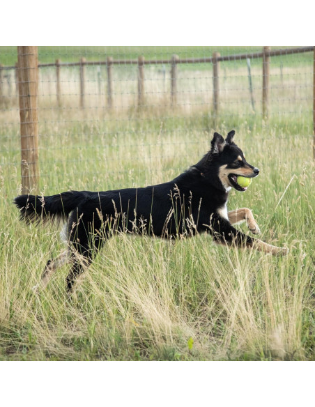 Suplemento Articular InClover Connectin 150 Tabletas para Perros