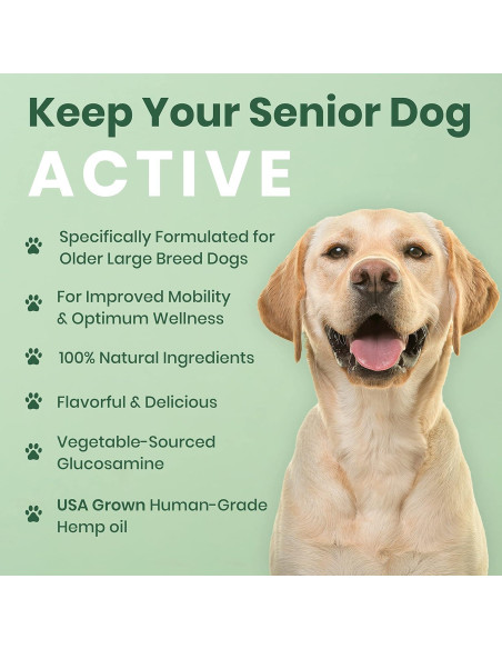 Suplemento Articulaciones Perros Grandes Vet Naturals 300g Pollo