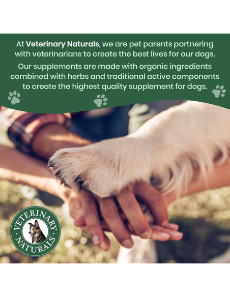 Suplemento Articulaciones Perros Grandes Vet Naturals 300g Pollo