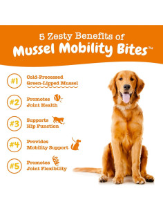 Zesty Paws Mussel Mobility Bites 90g - Suplemento Articular para Perros 2