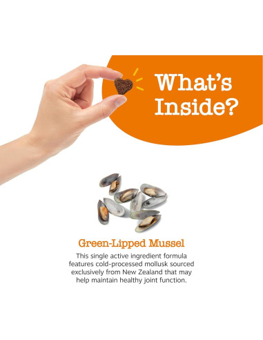 Zesty Paws Mussel Mobility Bites 90g - Suplemento Articular para Perros