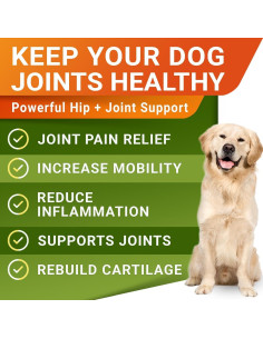 Suplemento para Articulaciones de Perro STRELLALAB 120 Golosinas Cordero 2