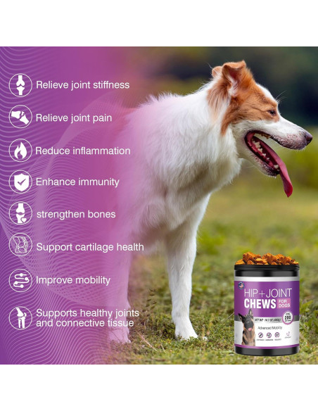 Glucosamina Masticable para Perros TTLXRL 200pcs Sabor Pollo