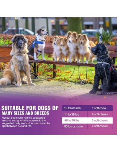 Glucosamina Masticable para Perros TTLXRL 200pcs Sabor Pollo