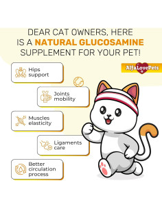 Suplemento Articular para Gatos Alfa Love Pets 56.7 g 2