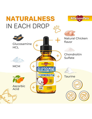 Suplemento Articular para Gatos Alfa Love Pets 56.7 g