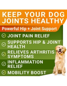 Glucosamina Líquida para Perros STRELLALAB 473 ml - Suplemento Articular 2