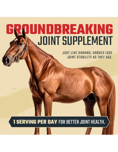 Suplemento Articular Equino Daybreak 8 en 1 - 964g