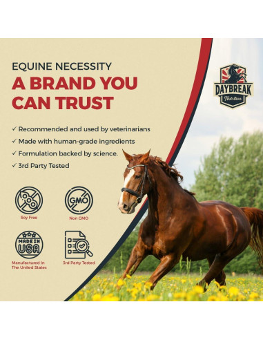 Suplemento Articular Equino Daybreak 8 en 1 - 964g