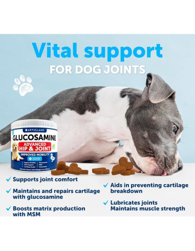 Golosinas de Glucosamina para Perros Artullano - 120 Unidades