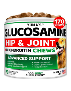 Suplemento de Glucosamina YUMA para Perros - 170 Masticables