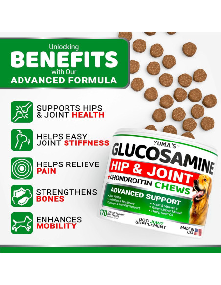 Suplemento de Glucosamina YUMA para Perros - 170 Masticables