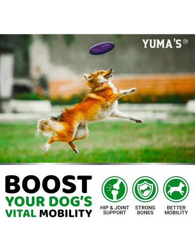 Suplemento de Glucosamina YUMA para Perros - 170 Masticables