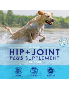 Polvo de Glucosamina NuLife 170g para Perros - Salud Articular 2