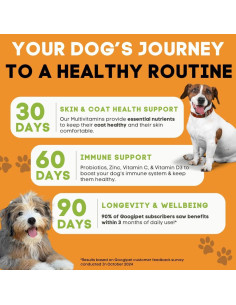 Googipet Multivitamínico 10 en 1 para Perros 255g Sabor Pollo 2