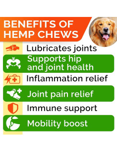 Chicles de Cánamo para Perros StrellaLab 120 Ct - Glucosamina 2