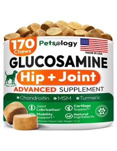 Suplemento de Glucosamina para Perros Petsology 170 Masticables