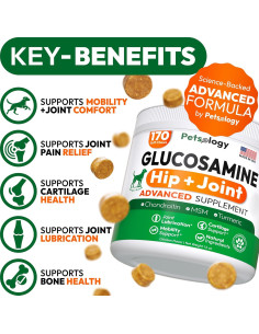 Suplemento de Glucosamina para Perros Petsology 170 Masticables 2