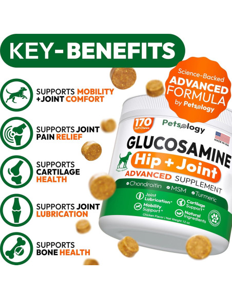 Suplemento de Glucosamina para Perros Petsology 170 Masticables