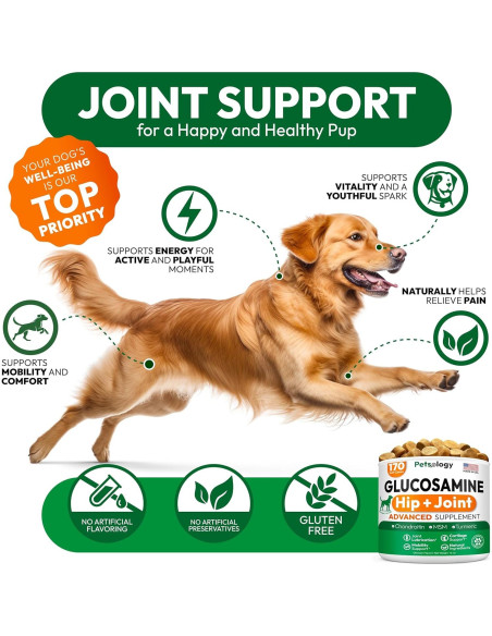 Suplemento de Glucosamina para Perros Petsology 170 Masticables