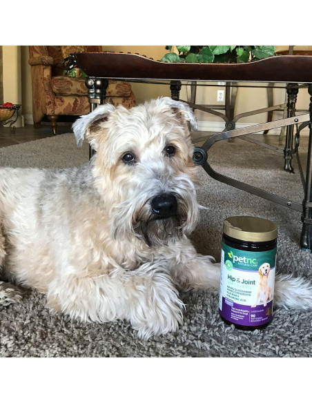 PetNC Chews Suaves para Caderas y Articulaciones 0.67kg