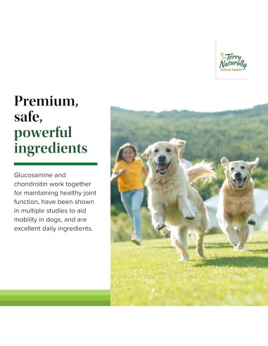 Suplemento Articular para Perros Terry Naturally - 60 Tabletas