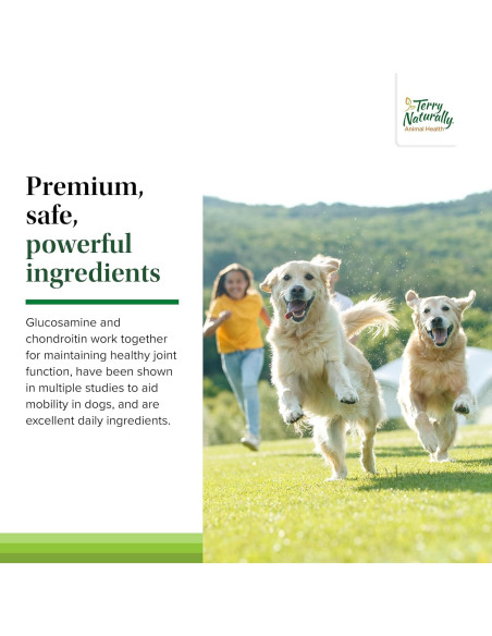 Suplemento Articular para Perros Terry Naturally - 60 Tabletas