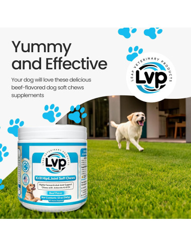 Suplemento Articular para Perros Leap - Galletas de Aceite de Krill y Glucosamina (90 unidades)