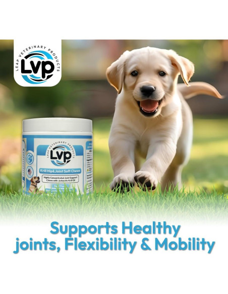 Suplemento Articular para Perros Leap - Galletas de Aceite de Krill y Glucosamina (90 unidades)