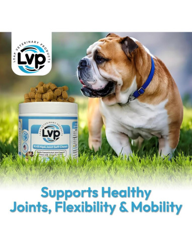 Suplemento Articular para Perros Leap - Galletas de Aceite de Krill y Glucosamina (90 unidades)