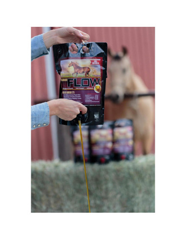 Aceite de Semilla de Linaza Horse Guard 3L - Omega 3 y 6