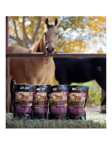 Aceite de Semilla de Linaza Horse Guard 3L - Omega 3 y 6