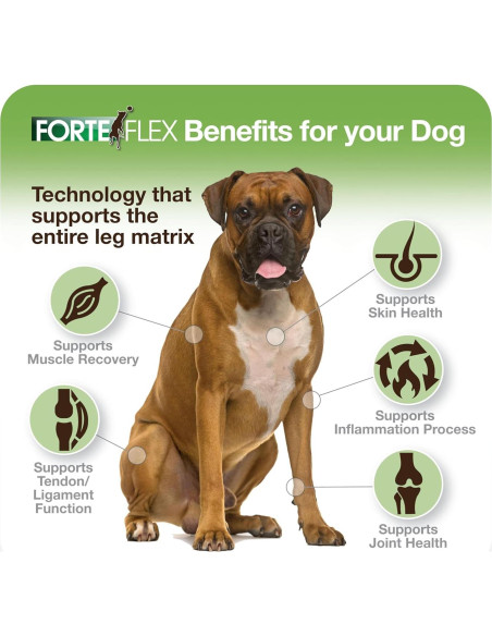 Suplemento Masticable Forte Flex K9 - Glucosamina y Colágeno