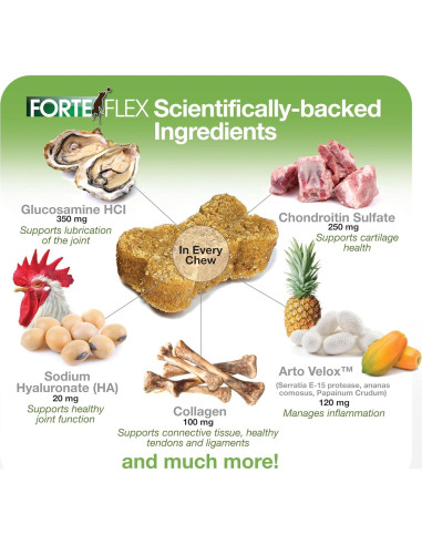 Suplemento Masticable Forte Flex K9 - Glucosamina y Colágeno