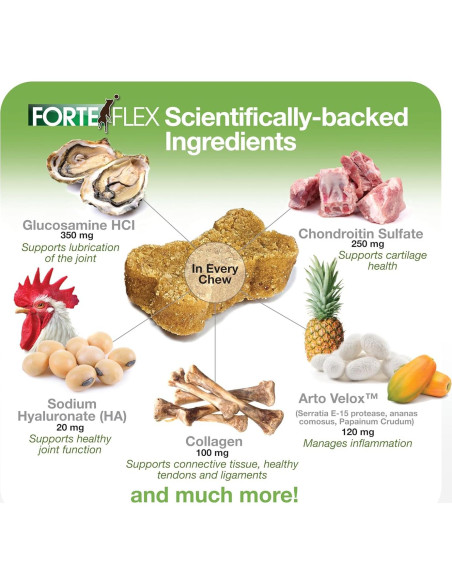 Suplemento Masticable Forte Flex K9 - Glucosamina y Colágeno