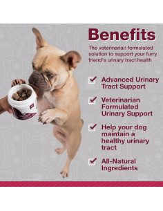 Suplemento de Arándano Pawlife para Perros 120 Masticables 2