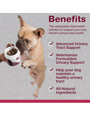 Suplemento de Arándano Pawlife para Perros 120 Masticables