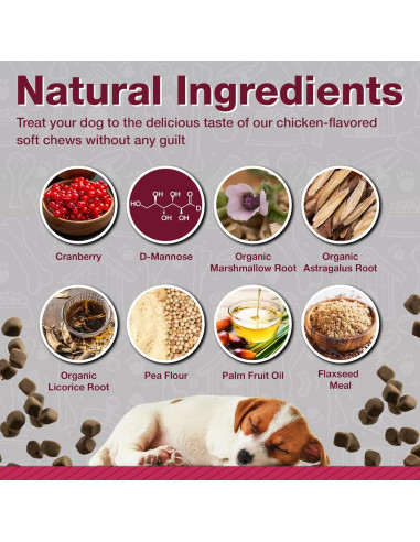 Suplemento de Arándano Pawlife para Perros 120 Masticables