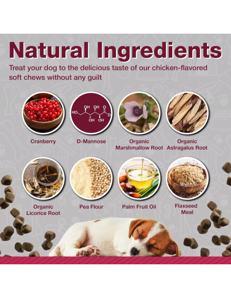 Suplemento de Arándano Pawlife para Perros 120 Masticables