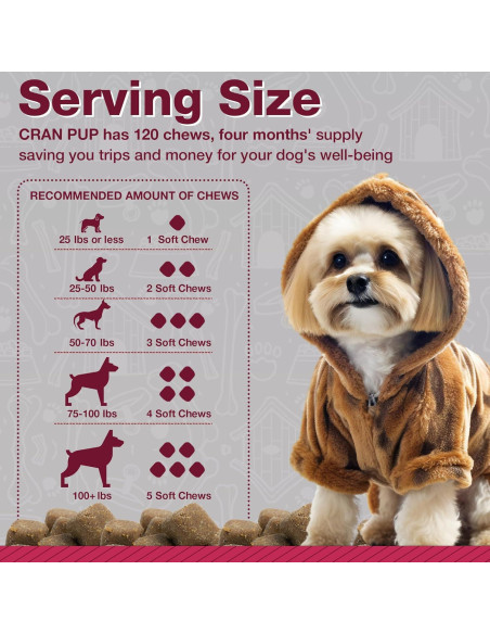 Suplemento de Arándano Pawlife para Perros 120 Masticables