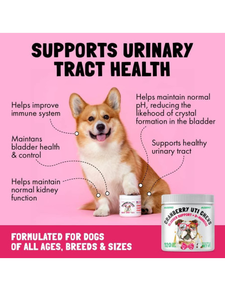 Masticables de Arándano UTI LEGITPET 120 Unidades Salud Urinaria