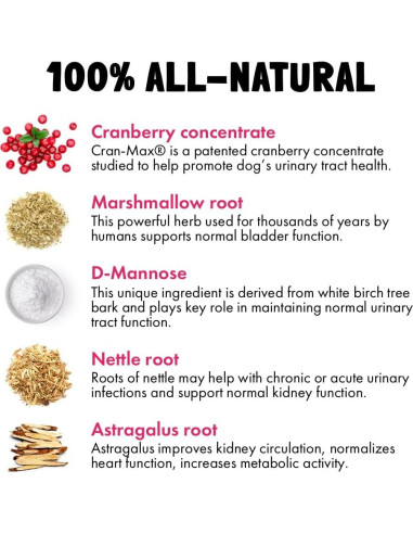 Masticables de Arándano UTI LEGITPET 120 Unidades Salud Urinaria