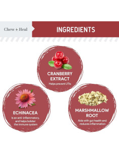 Suplemento de Arándano Chew + Heal para Infecciones UTI Perros 120 Masticables 2