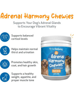 Suplemento Herbal Pet Wellbeing Adrenal Harmony Gold 90ml 2