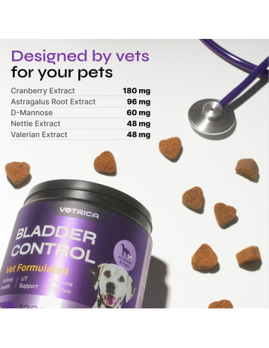 Golosinas de Arándano Vetrica para UTI en Perros 255g