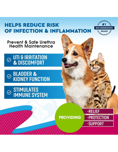 Suplemento Natural UTI para Gatos y Perros Beloved Pets 118g